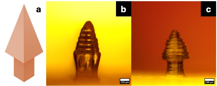 Arrowhead microneedle CAD and optical microscopy comparison