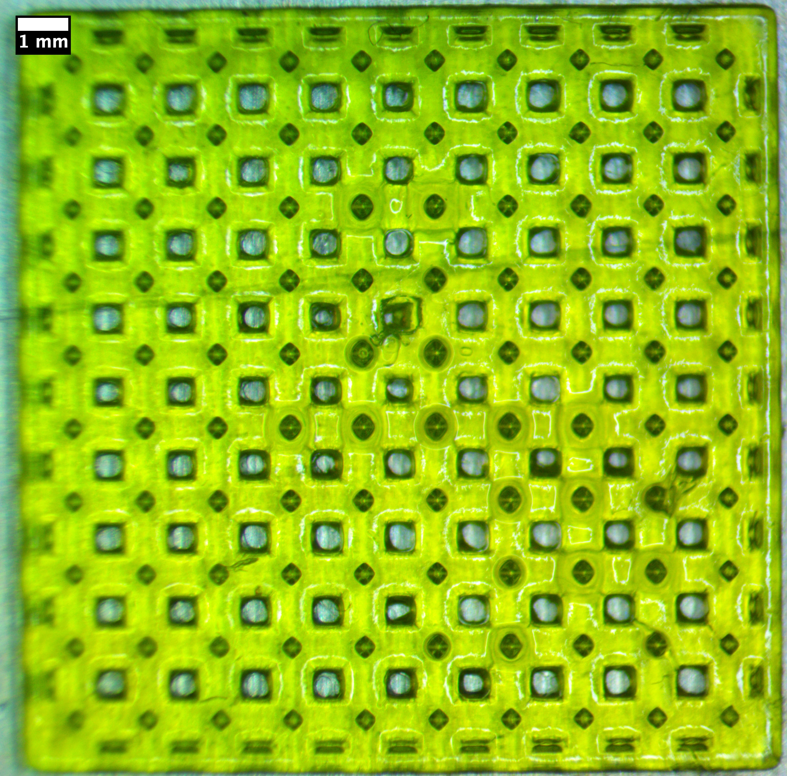 Grid-base CAPbaE microneedle patch optical microscope image