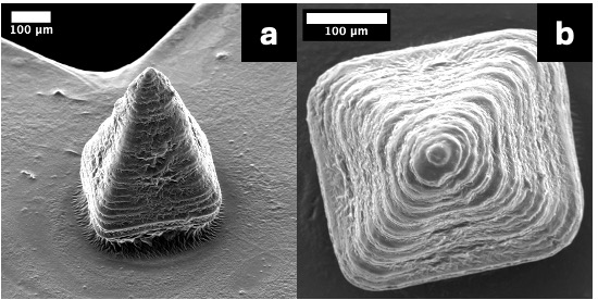 SEM images of CAPbaE microneedle morphology